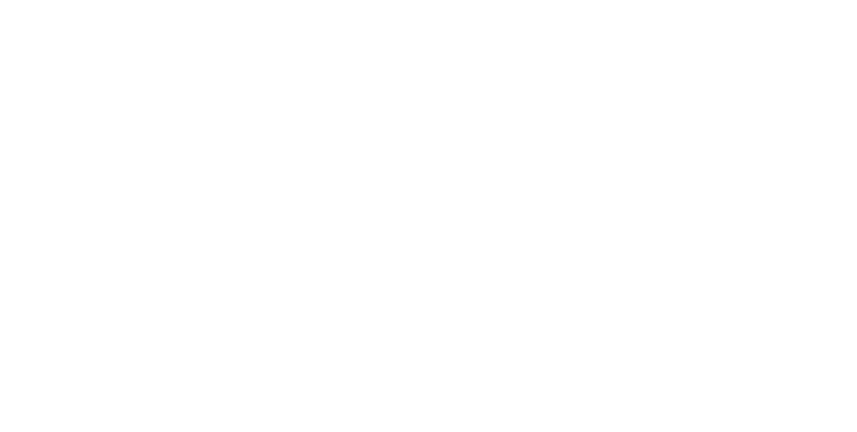Big Audience Machine Logo
